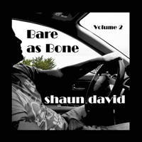 Shaun David - Bare as Bone Volume 2