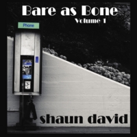 Shaun David - Bare as Bone Volume 1